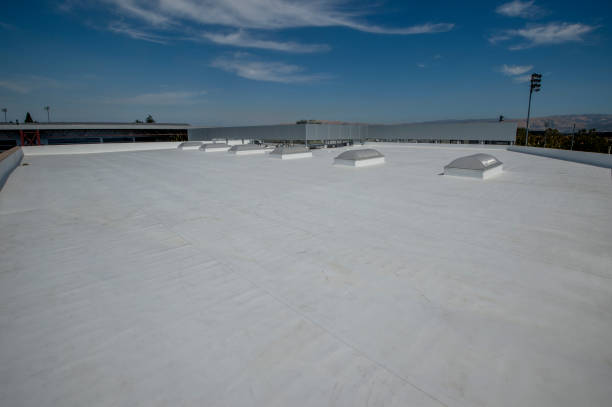 Best Roof Maintenance and Cleaning  in Globe, AZ