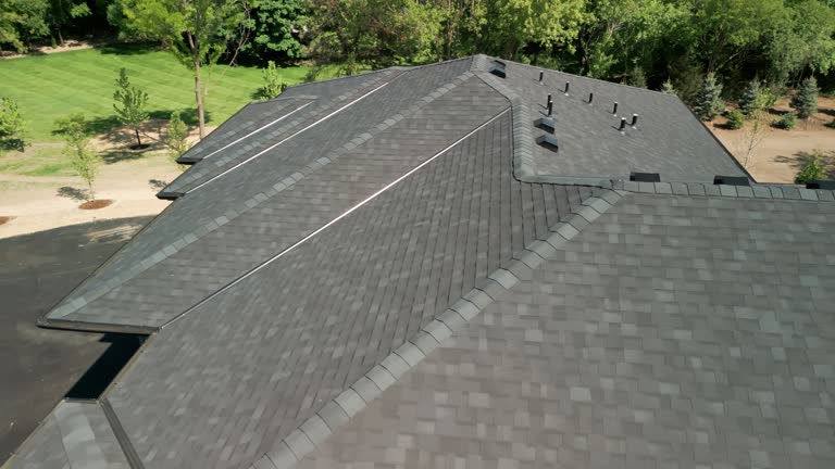 Best Chimney Flashing Repair  in Globe, AZ